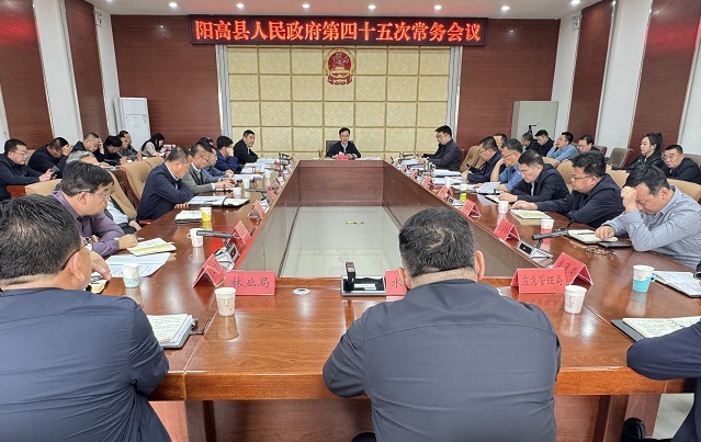 谢云主持召开县政府第四十五次常务会议