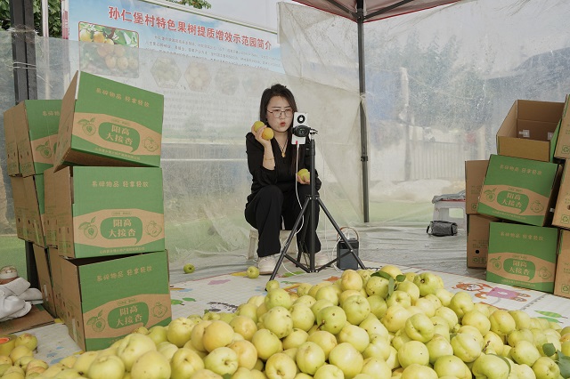 微信图片_20250716110643