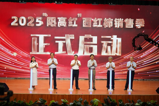聚“柿”力 谋发展 2025“阳高红”西红柿产业发展大会隆重召开