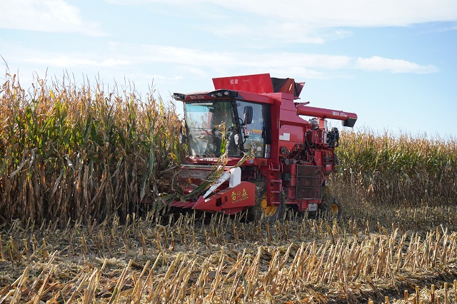 阳高县高质量发展系列报道之四|阳高近20万亩良田有了“管家”