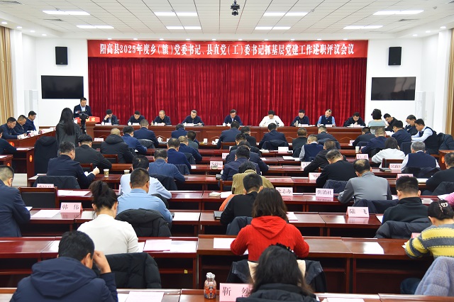 阳高县2025年度乡（镇）党委书记、县直党（工）委书记抓基层党建工作述职评议会召开