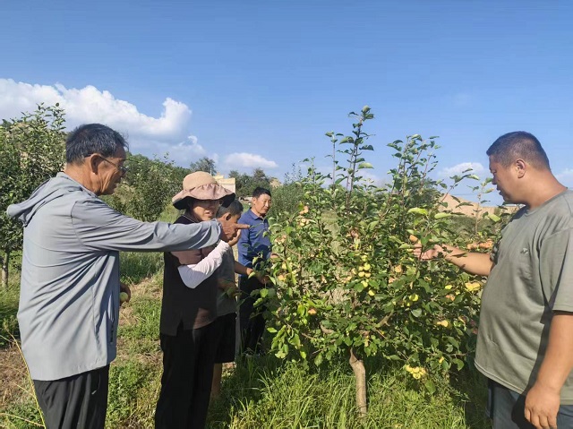 铸牢对党忠诚 争做阳高先锋|躬身办实事 实干暖民心——记全市先进基层党组织阳高县许家园村党支部
