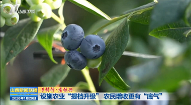 设施农业“提档升级” 农民增收更有“底气”